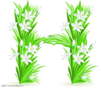 ֯ȫۼ¹ȷﲡ79673754